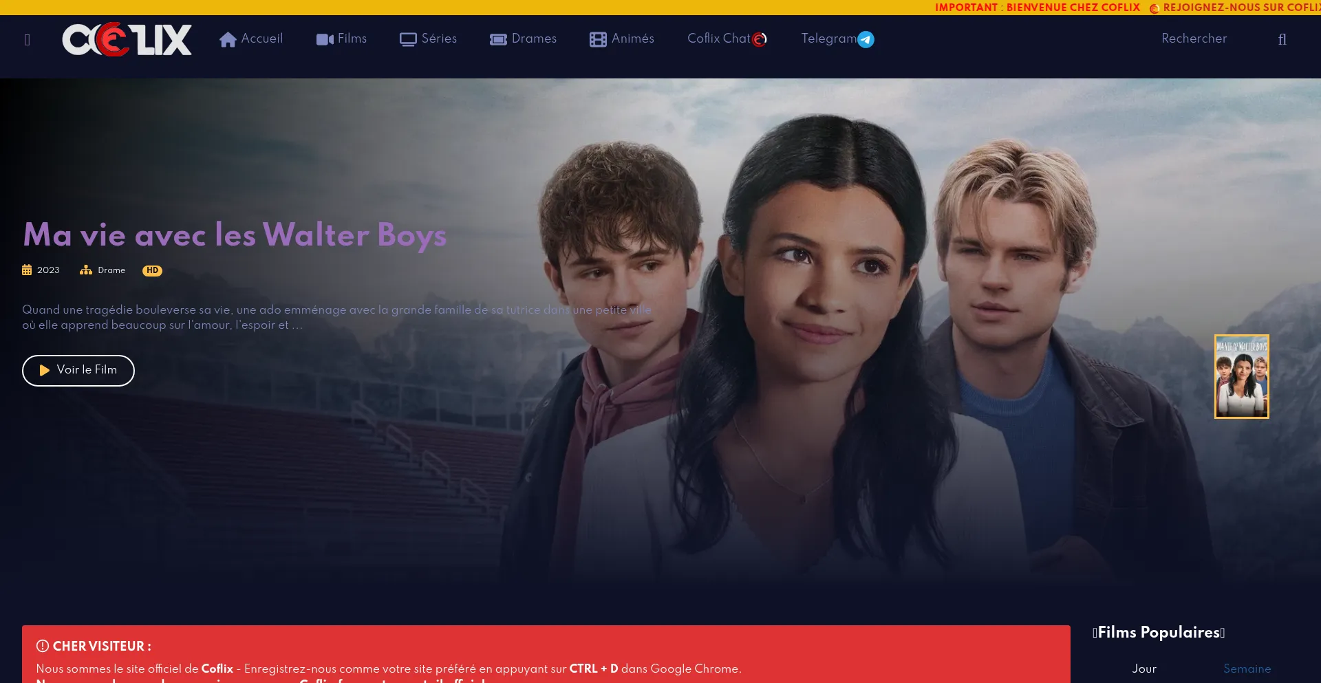 Website screenshot of Coflix.cc