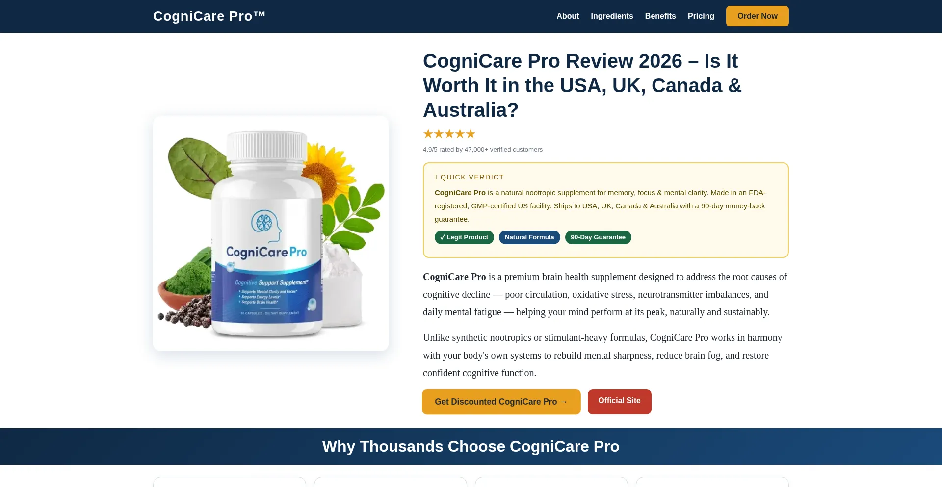 Cognicare-pro.colibricreation.com