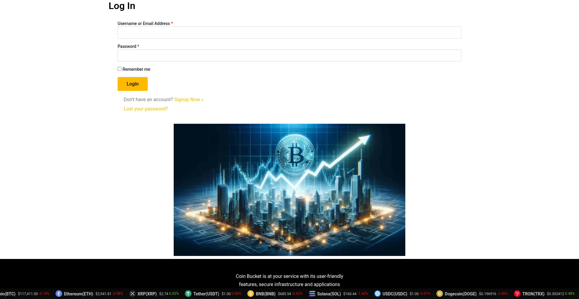 Website screenshot of Coin-bucket.org