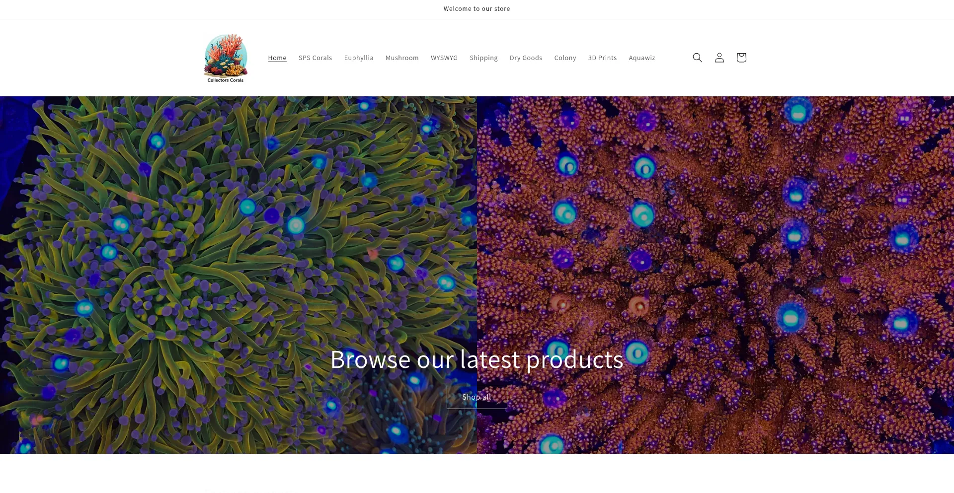 Website screenshot of Collectorscorals.com