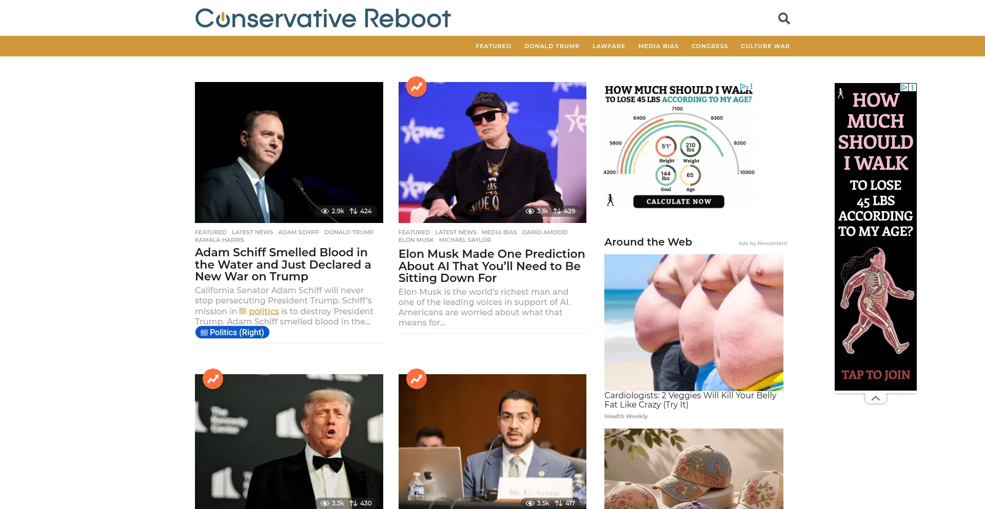 Conservativereboot.org
