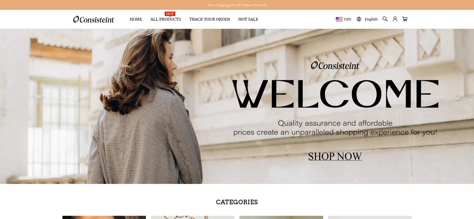 Website screenshot of Consisteint.com