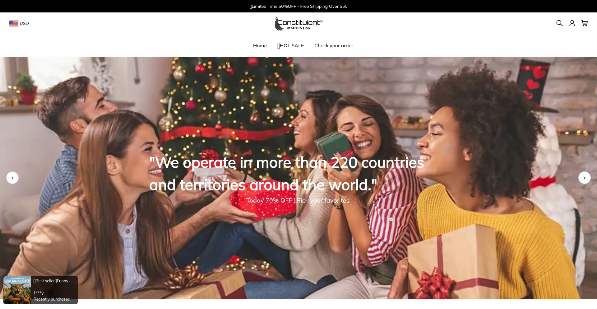 Website screenshot of Constituient.com