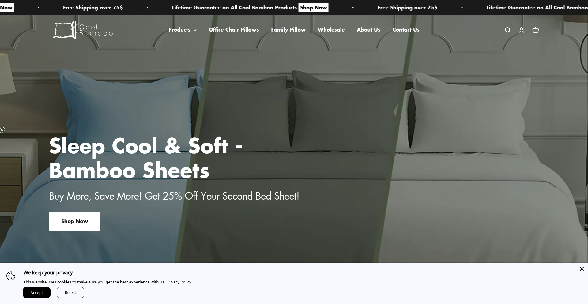 Website screenshot of Coolbamboostore.com