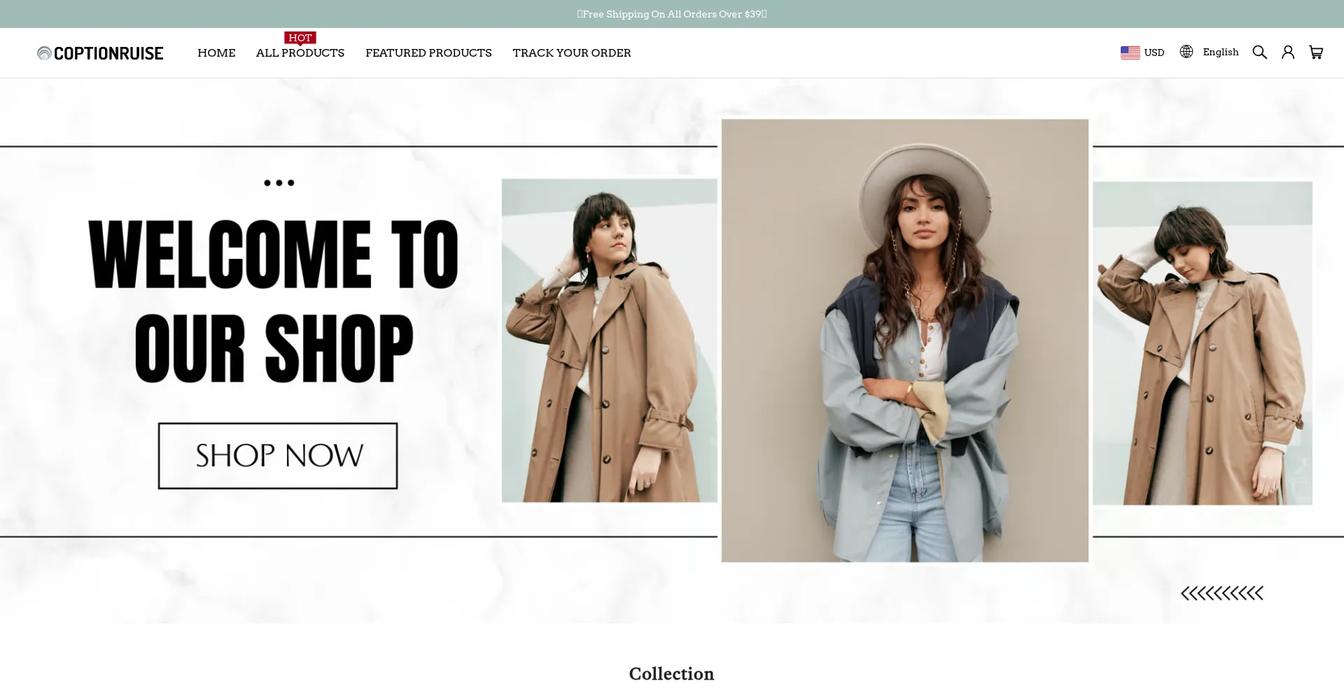 Website screenshot of Coptionruise.com