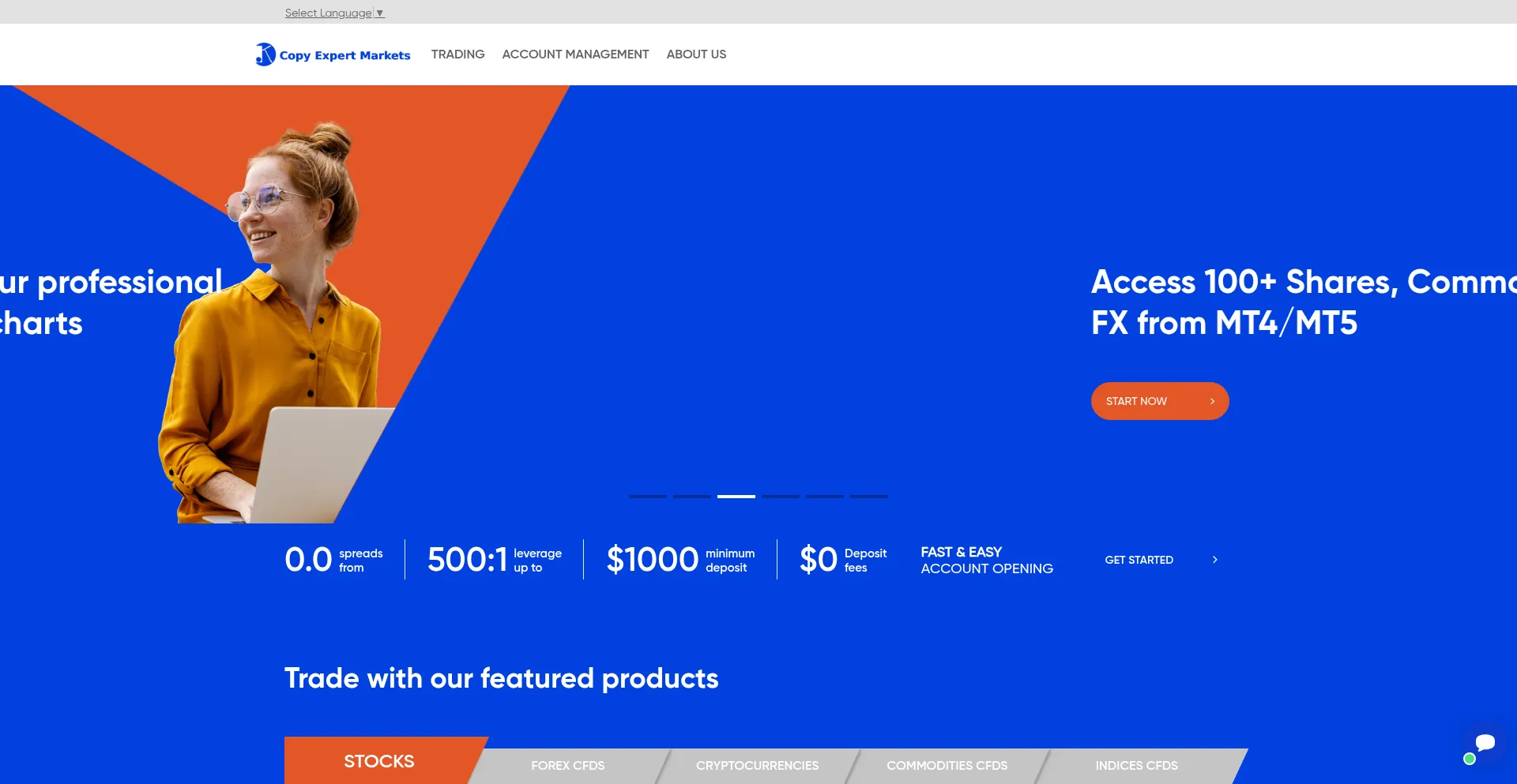 Website screenshot of Copyexpertmarkets.com