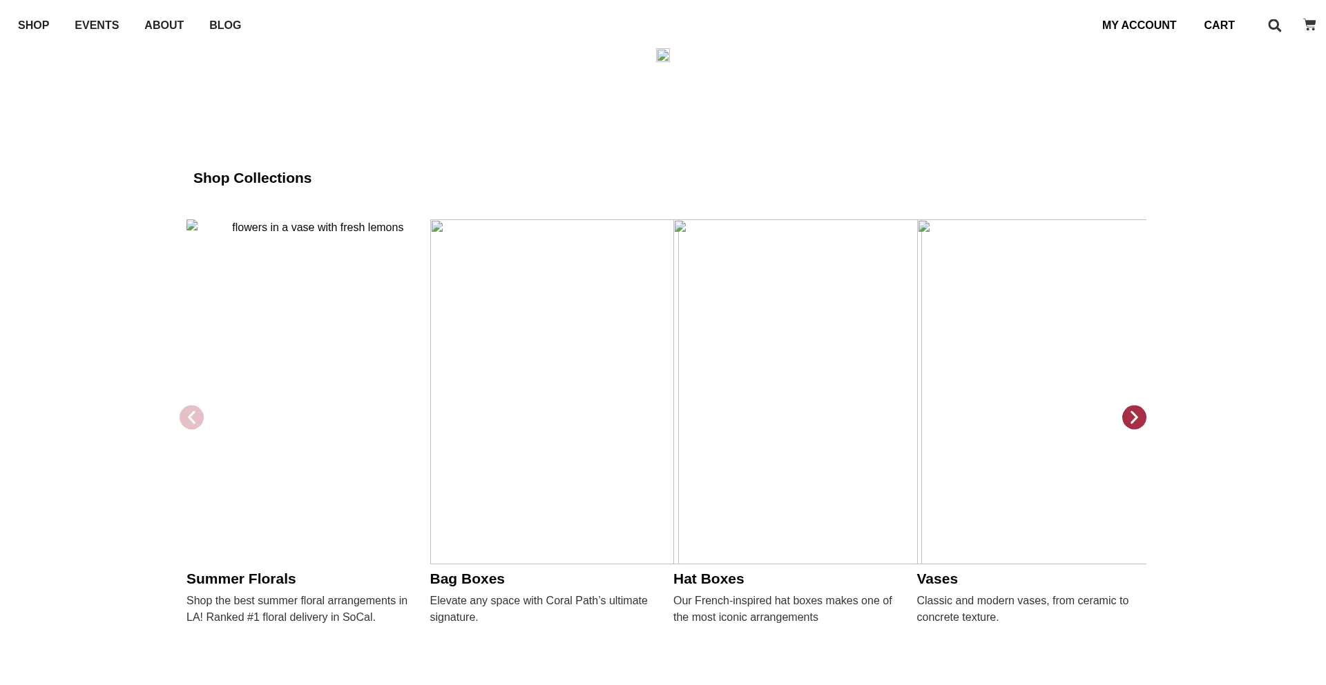 Website screenshot of Coralpathdesigns.com