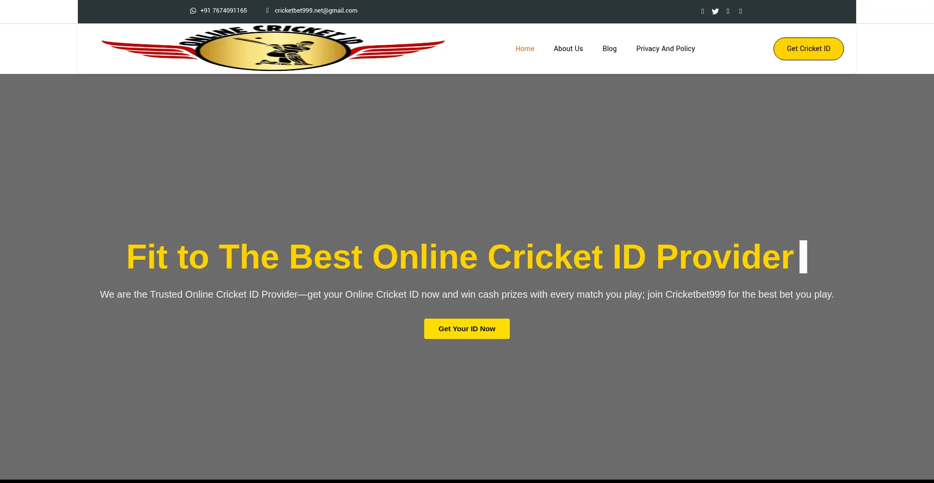 Website screenshot of Cricketbet999.net