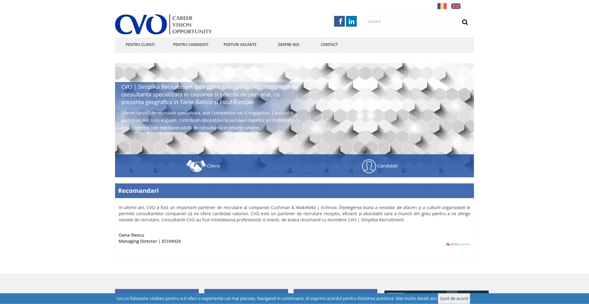 Website screenshot of Cvo.ro