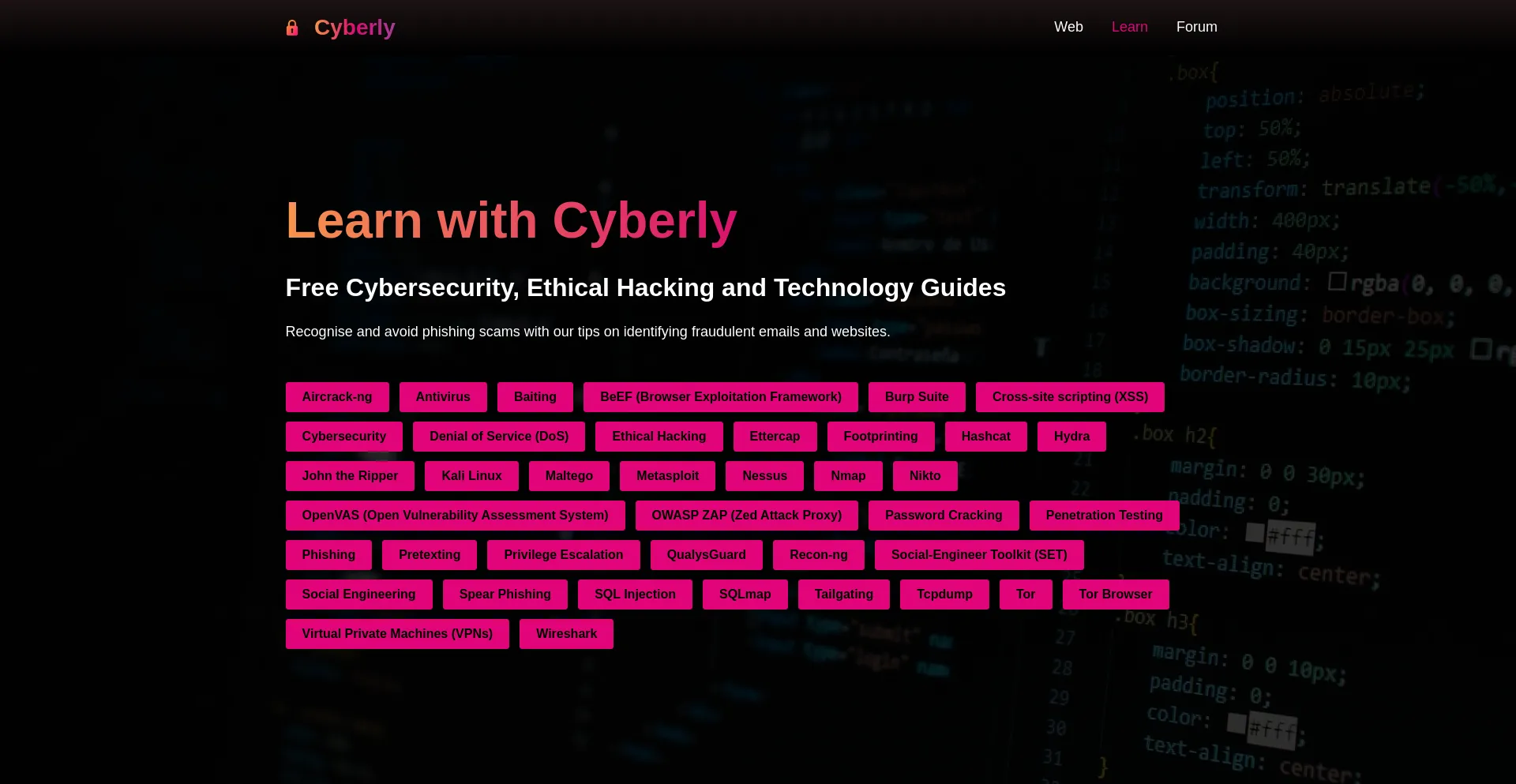 Website screenshot of Cyberly.org