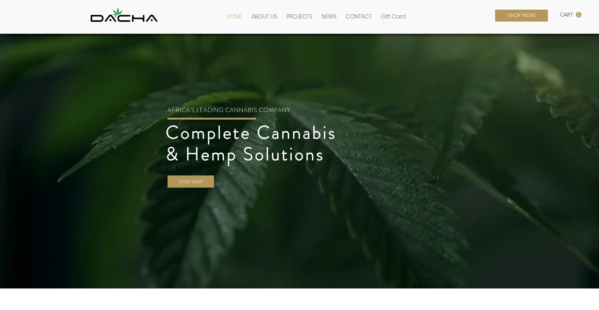 Website screenshot of Dachacorp.com