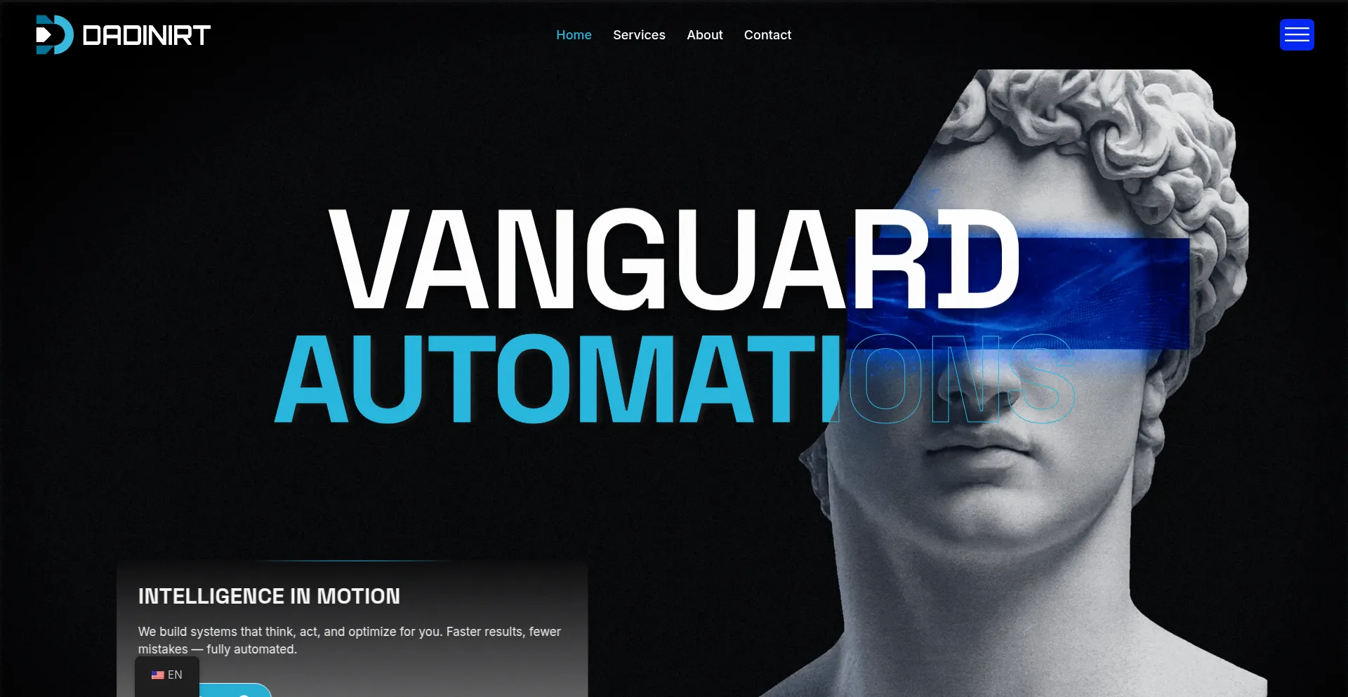 Website screenshot of Dadinirt.com