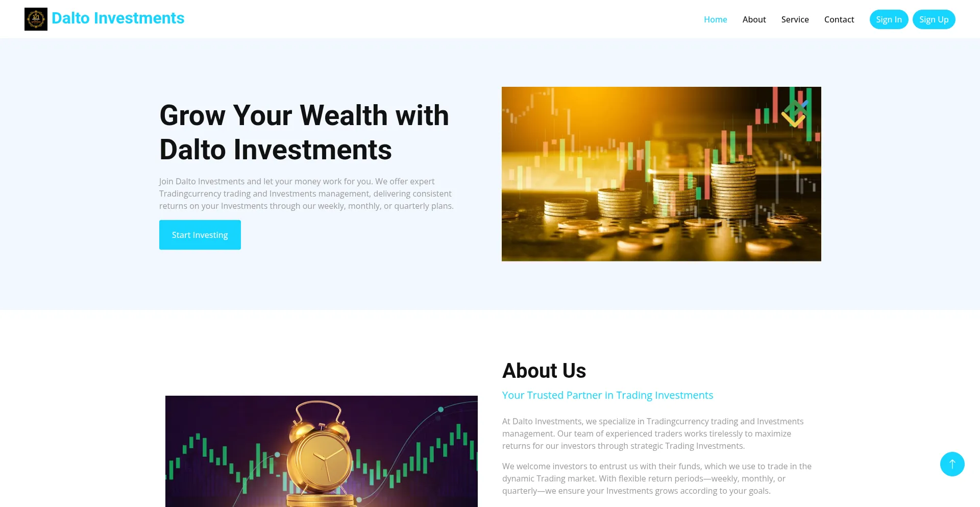 Website screenshot of Daltoinvestments.com
