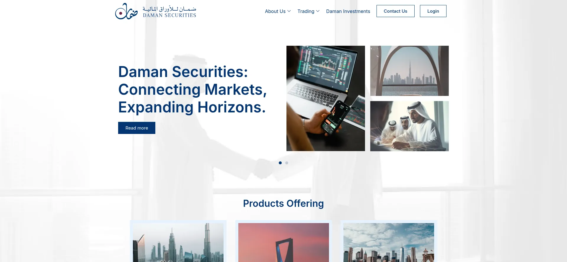 Website screenshot of Damansecurities.com