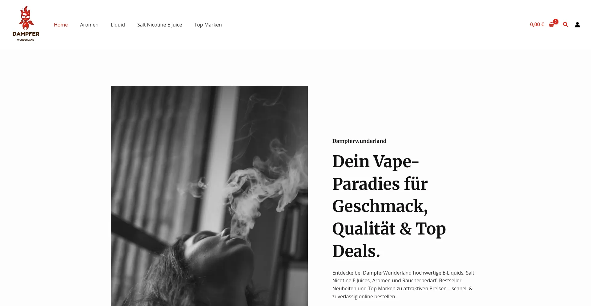 Dampferwunderland.com