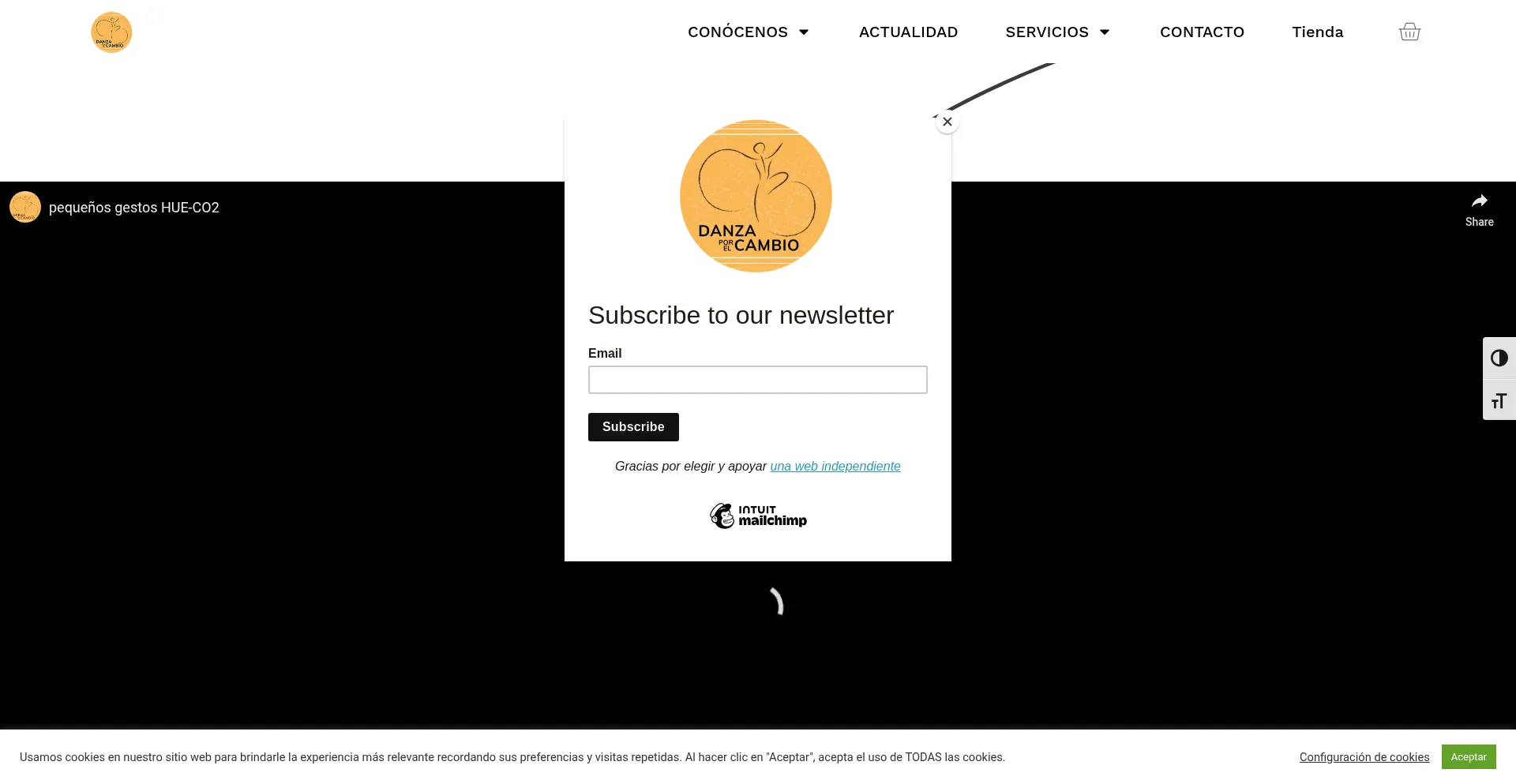 Website screenshot of Danzaporelcambio.com