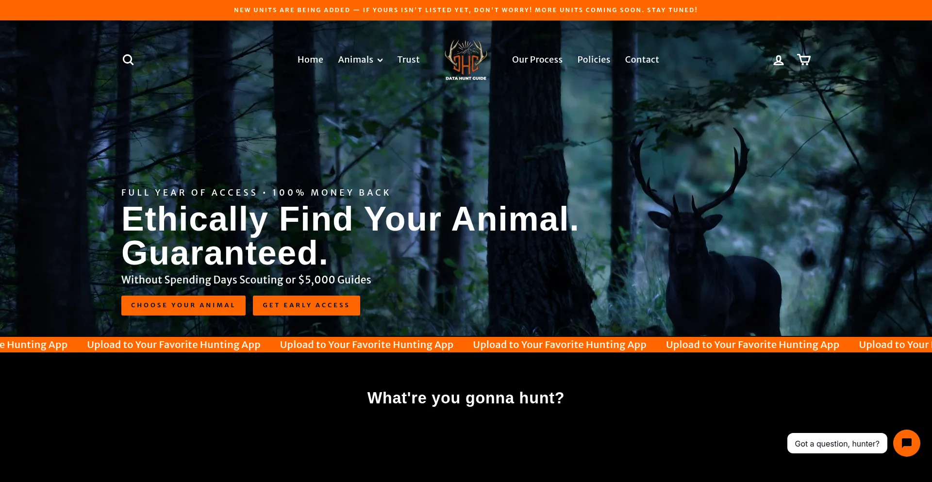 Datahuntguide.com