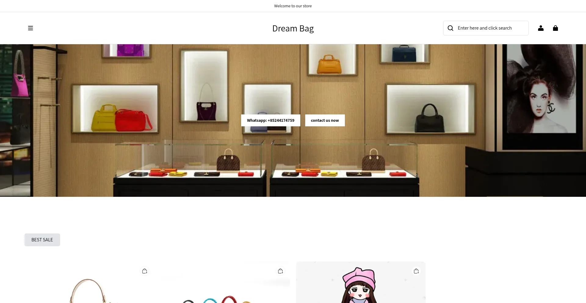 Website screenshot of Dbgs-bag.com