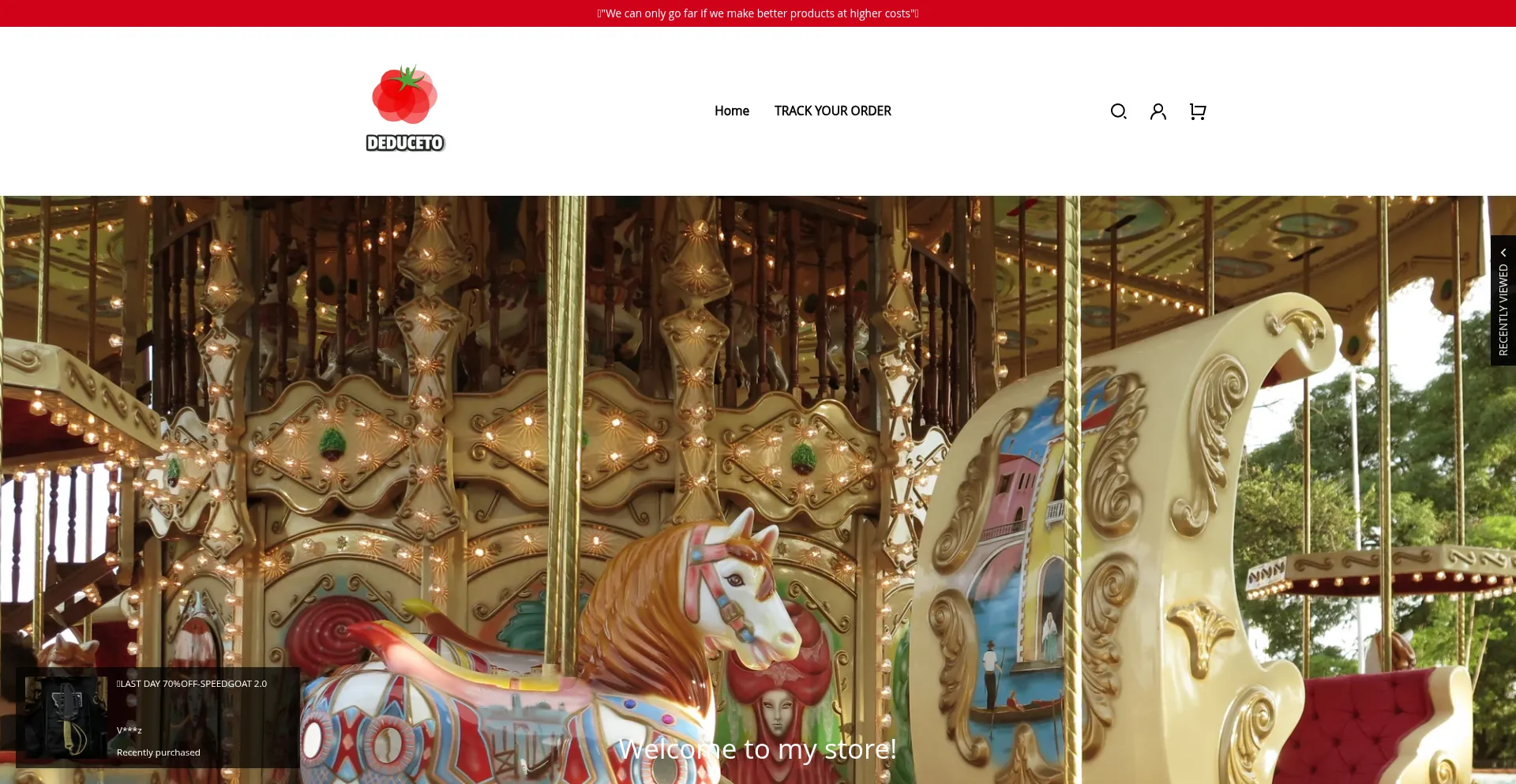 Website screenshot of Deduceto.com