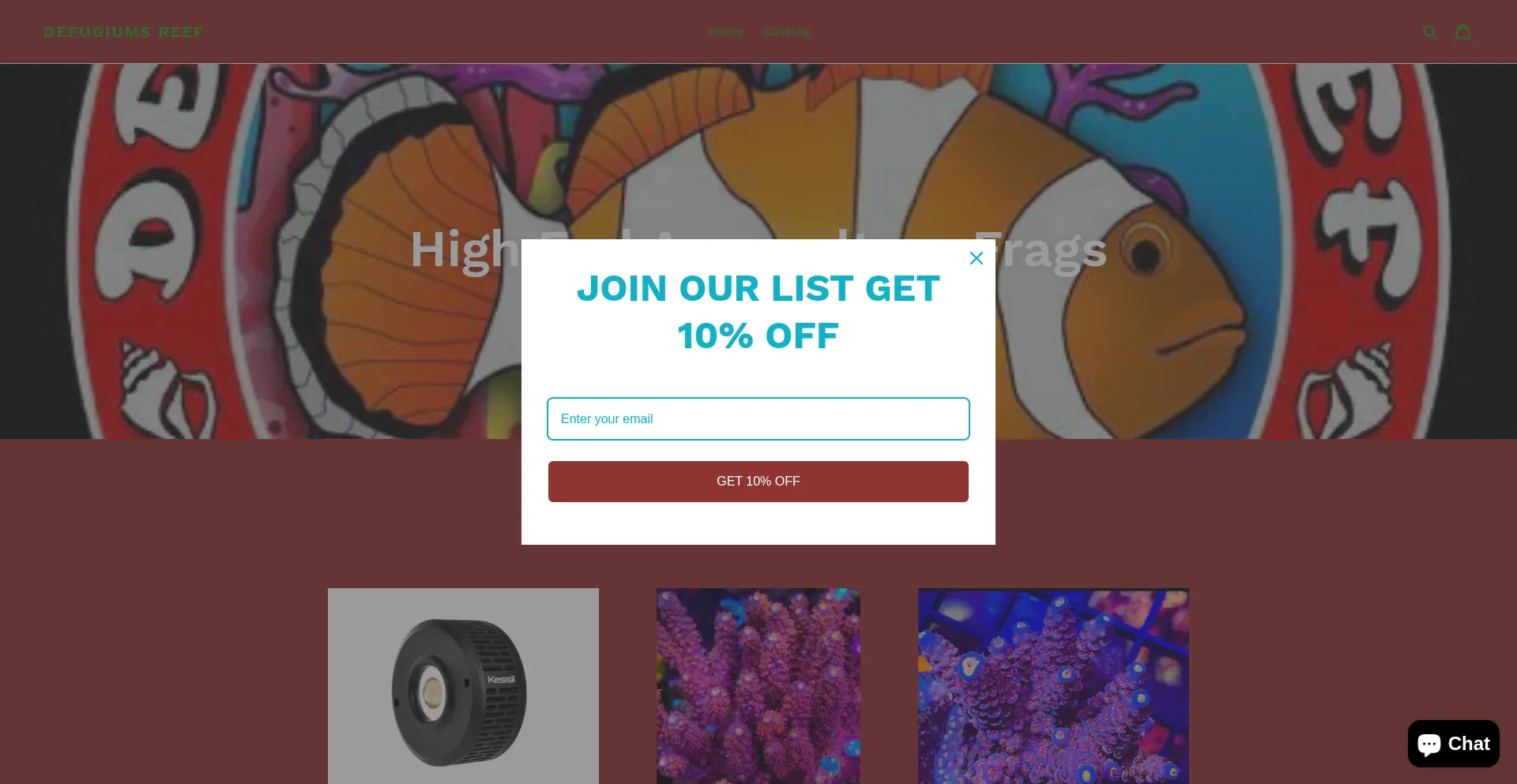 Website screenshot of Defugiumsreef.com