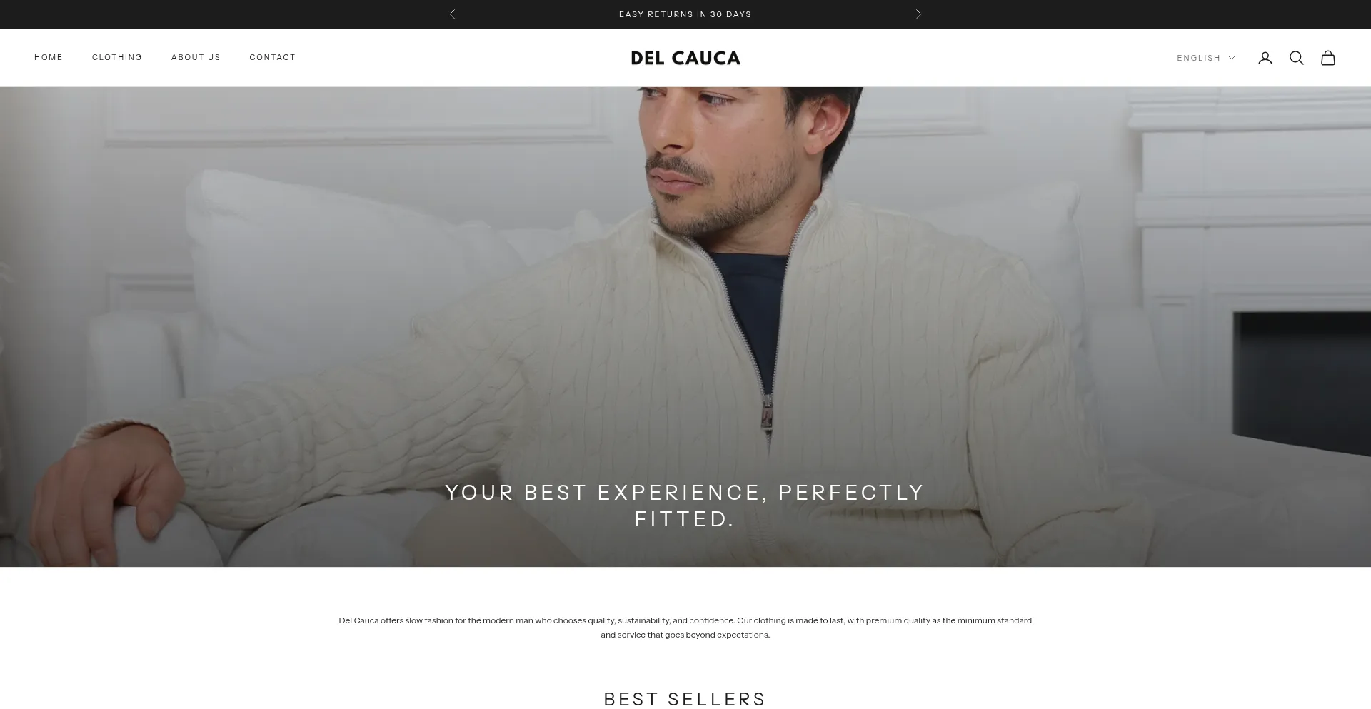 Delcauca.com Screenshot