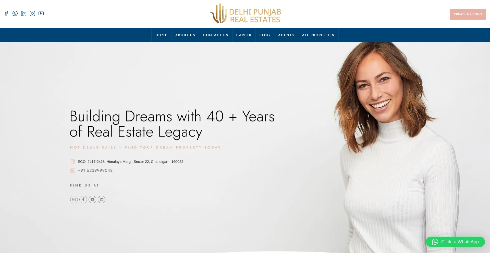 Website screenshot of Delhipunjabrealestate.com
