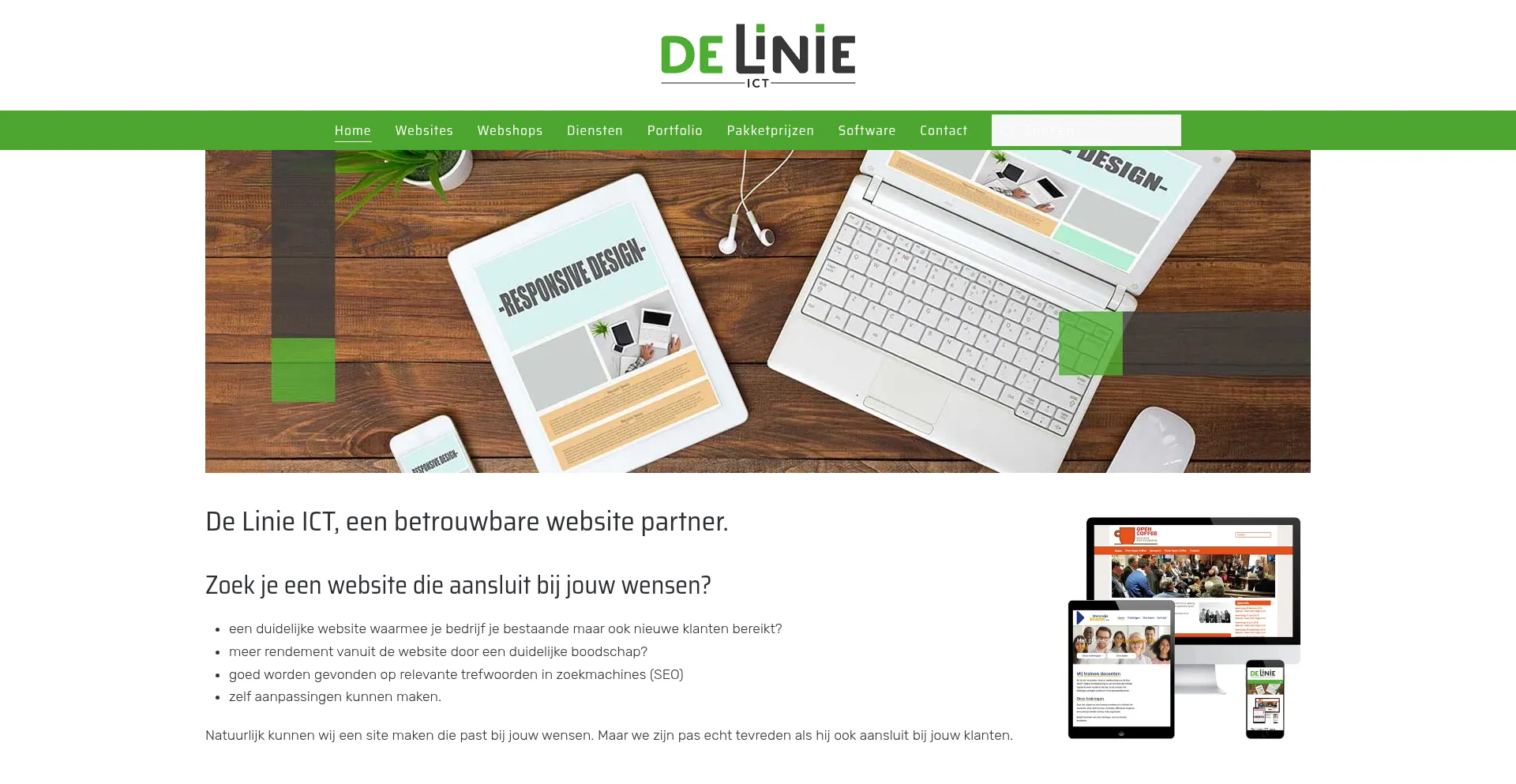 Website screenshot of Delinie-ict.nl
