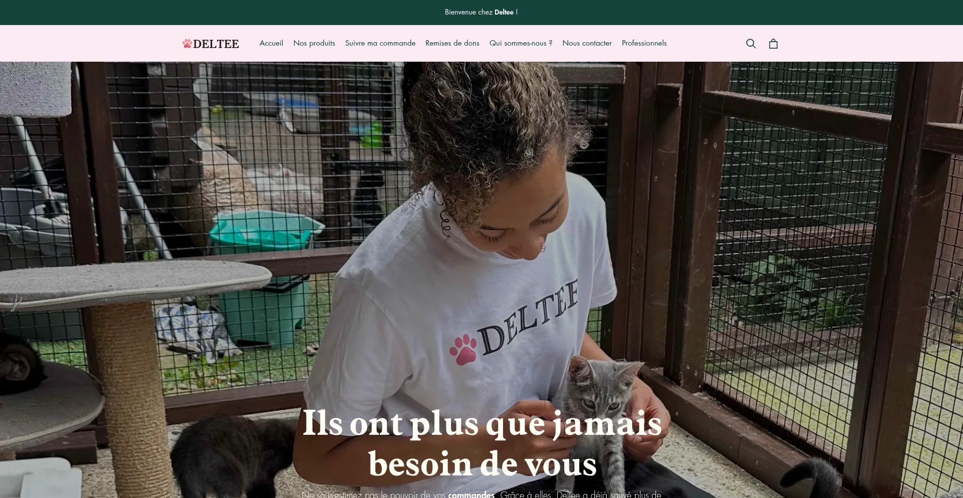 Website screenshot of Deltee.com