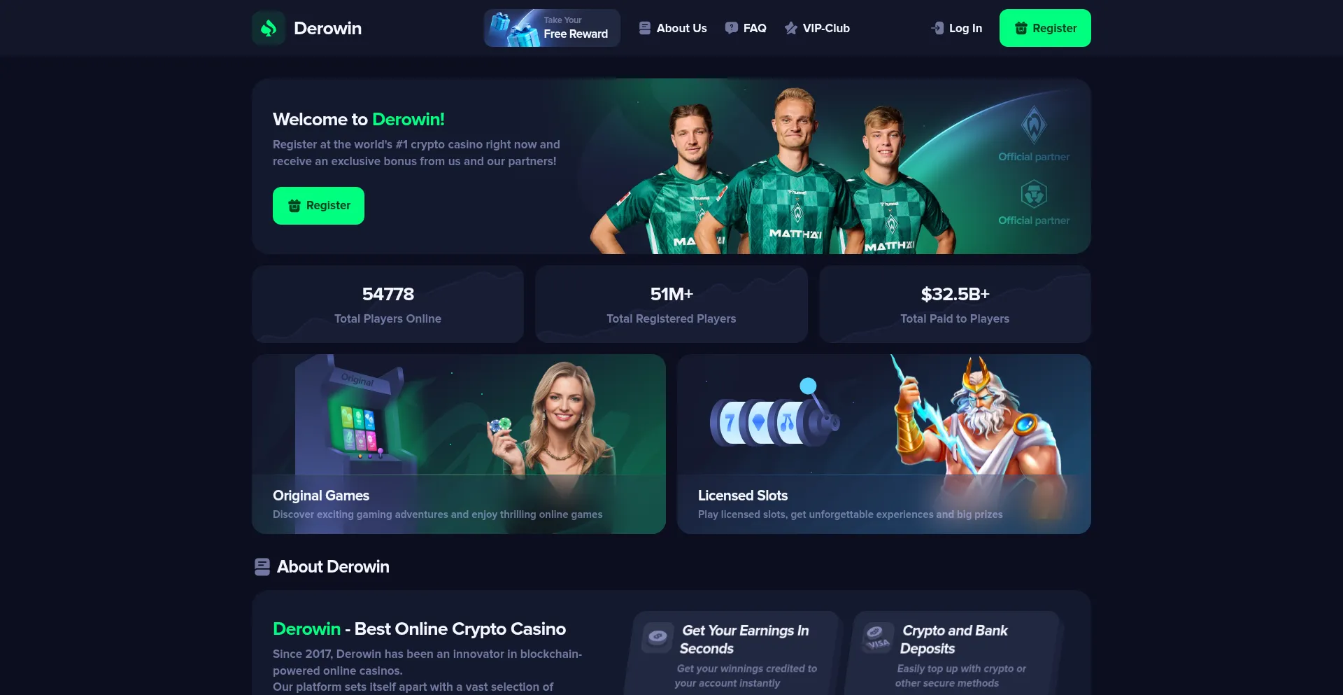 Website screenshot of Derowin.com