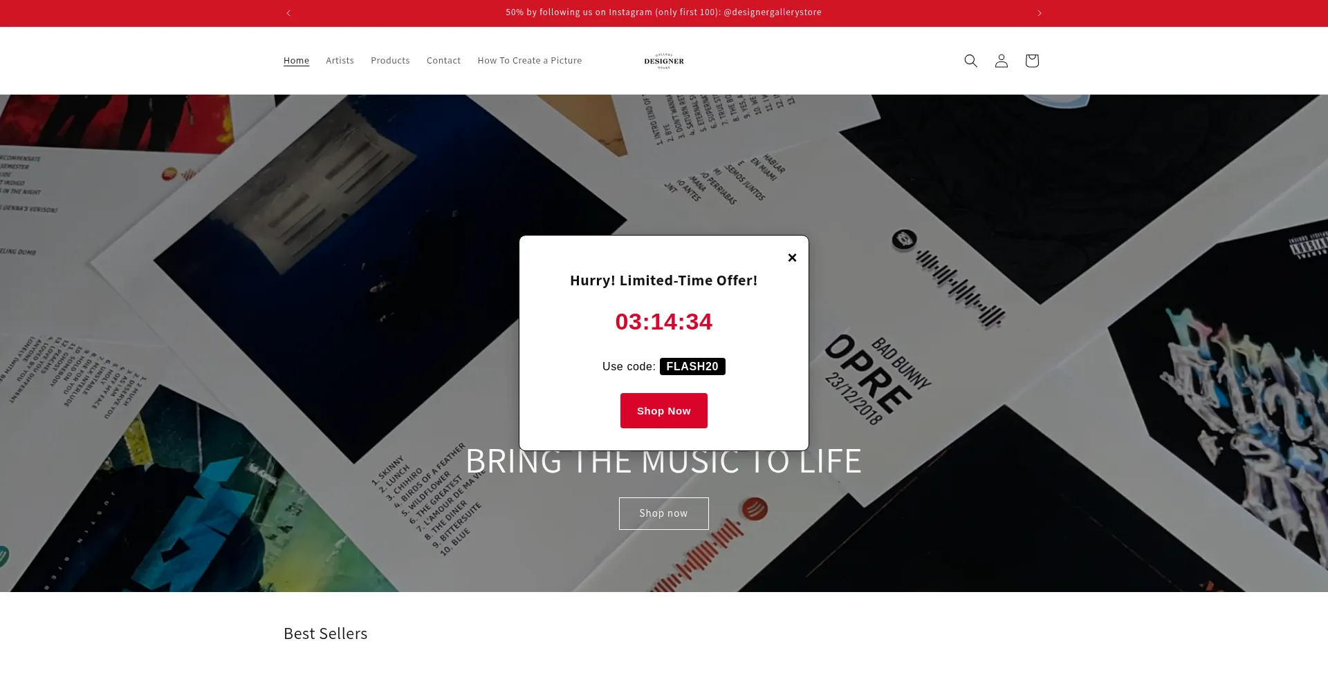 Website screenshot of Designergallerystore.com