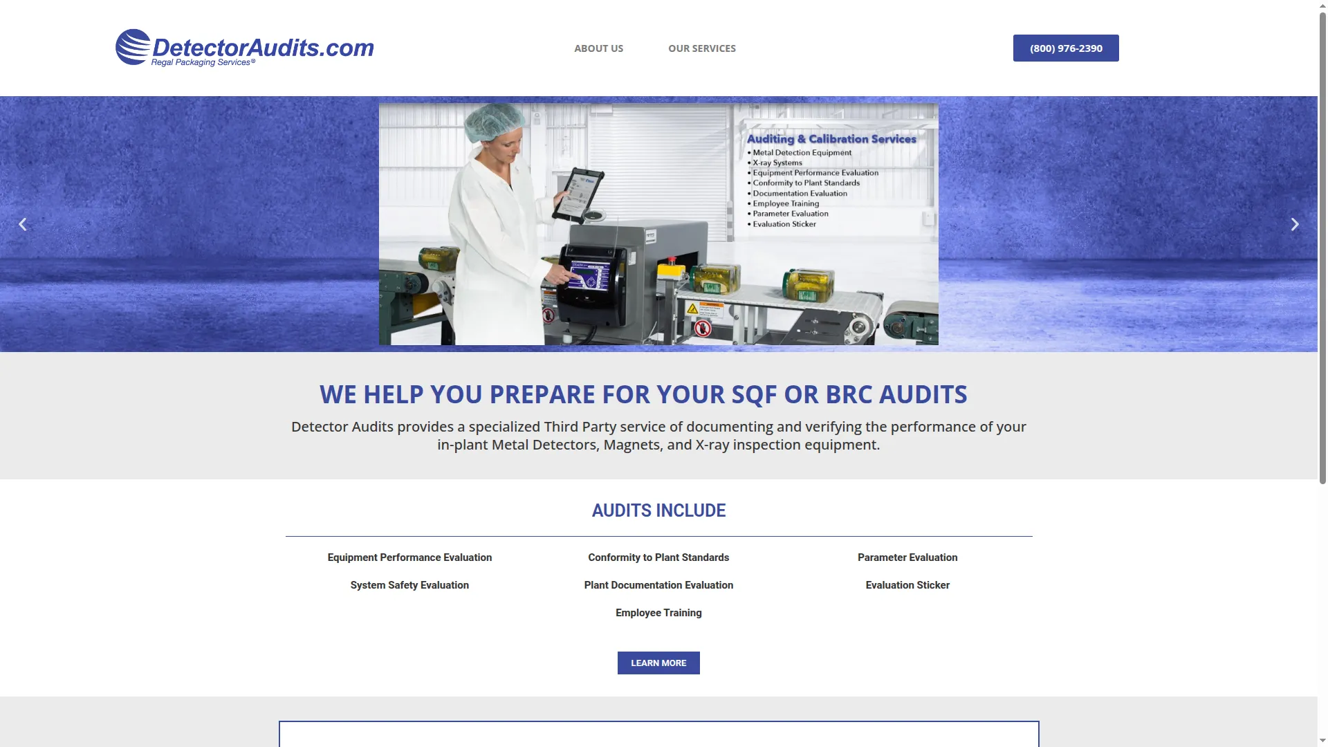 Detectoraudits.com