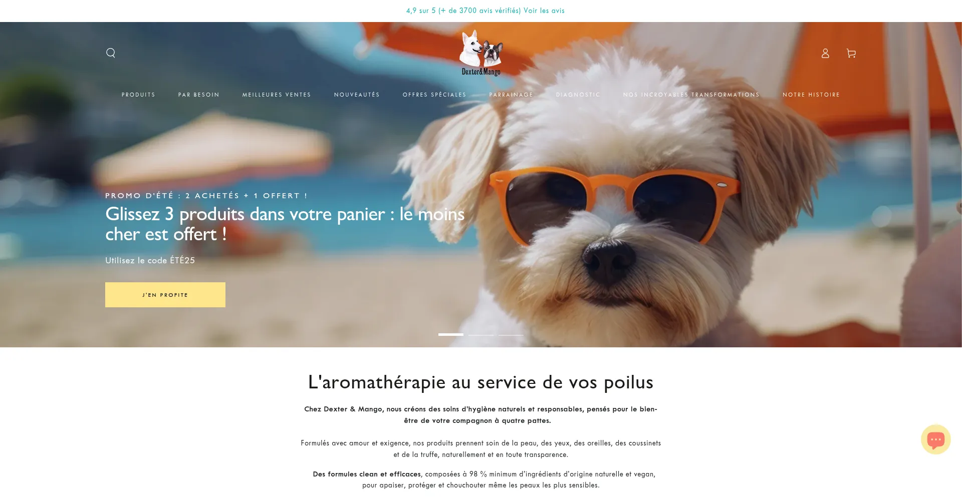 Website screenshot of Dexter-et-mango.fr