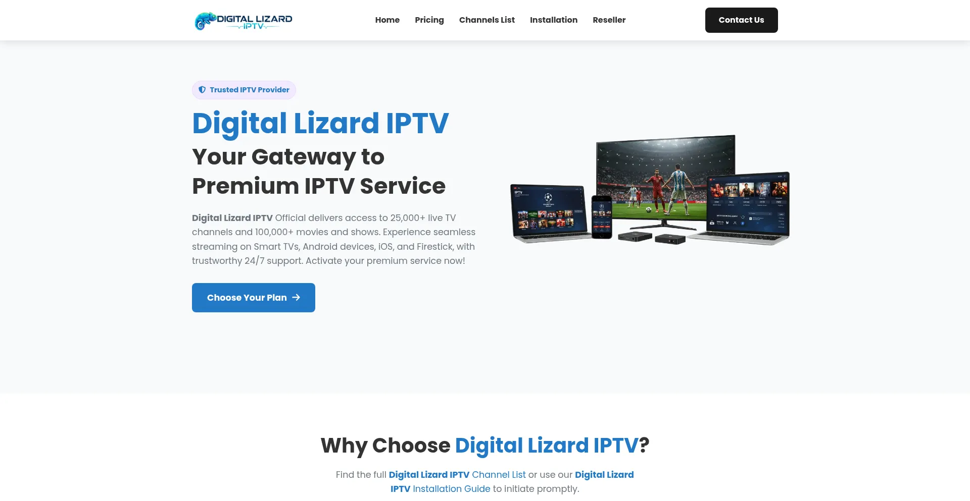 Digitalizardiptvi.com
