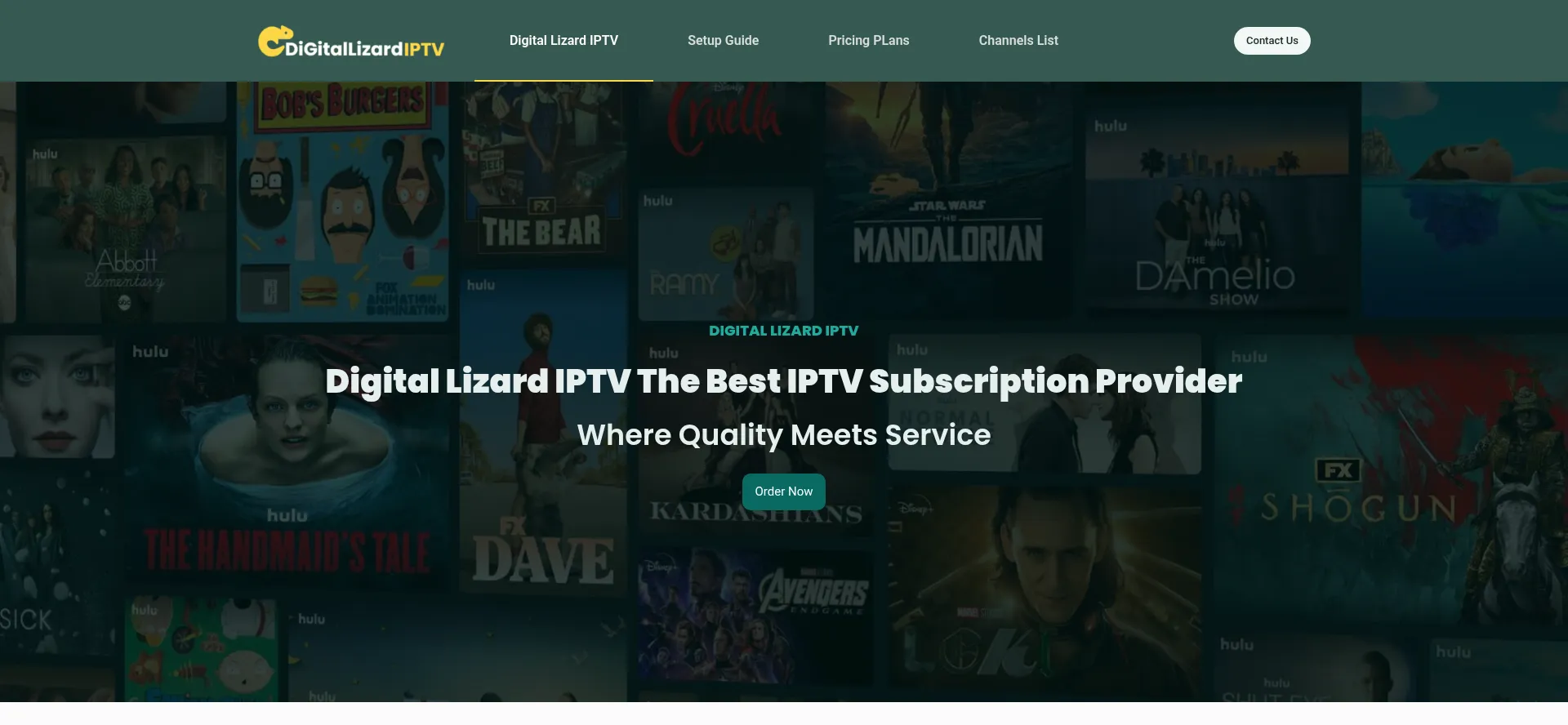 Digitallizardiptv.org