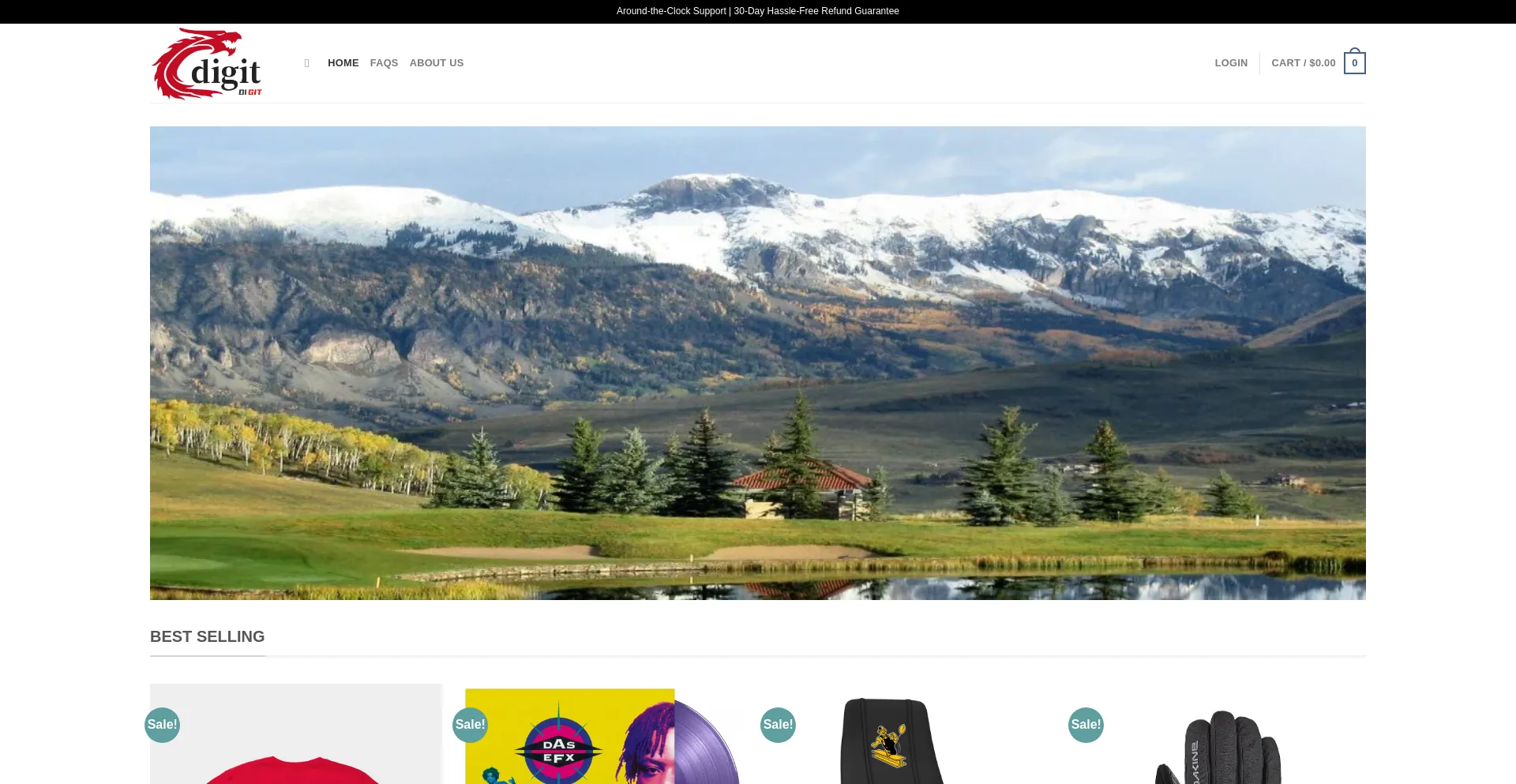 Website screenshot of Digitalsurger.com