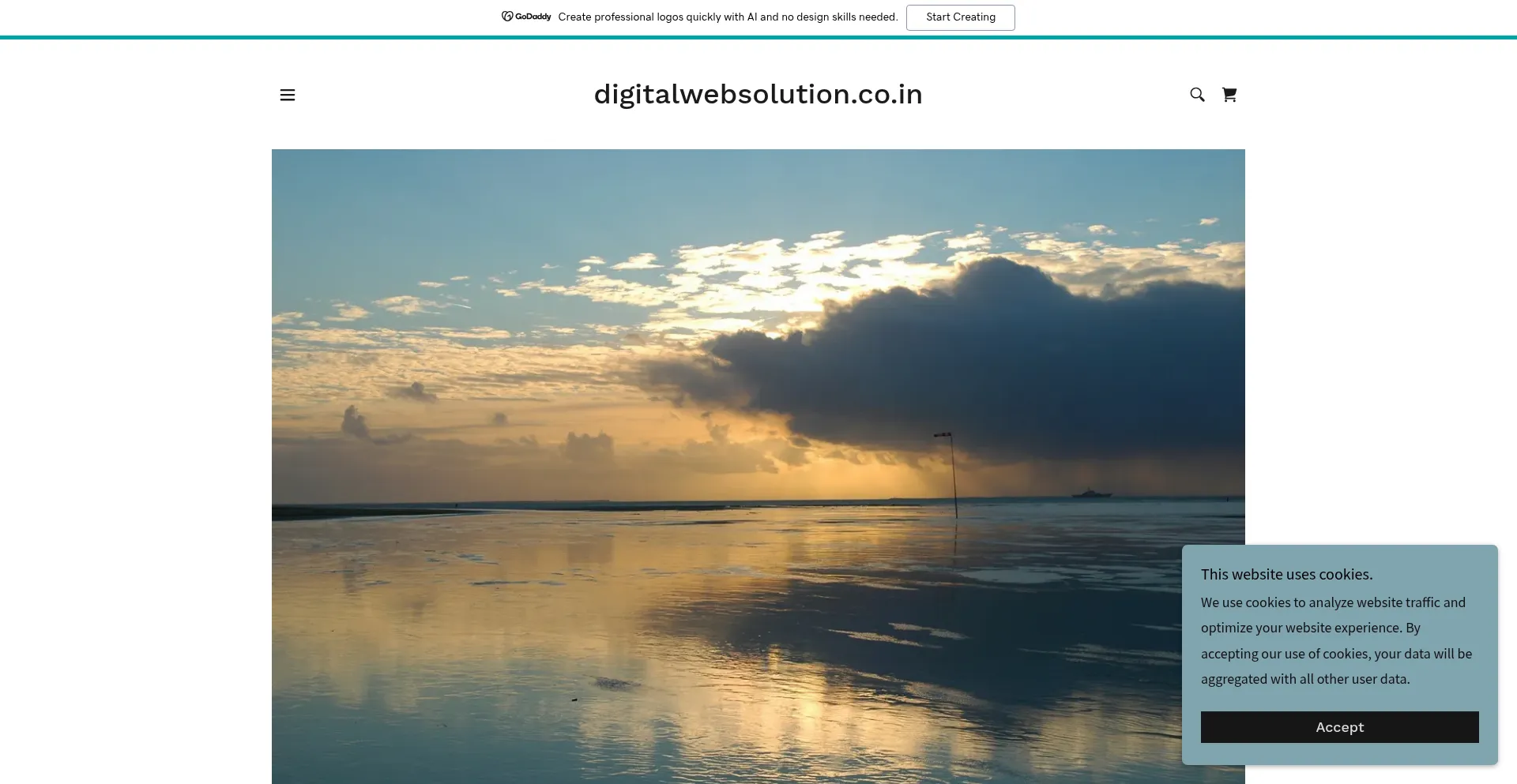 Digitalwebsolution.co.in