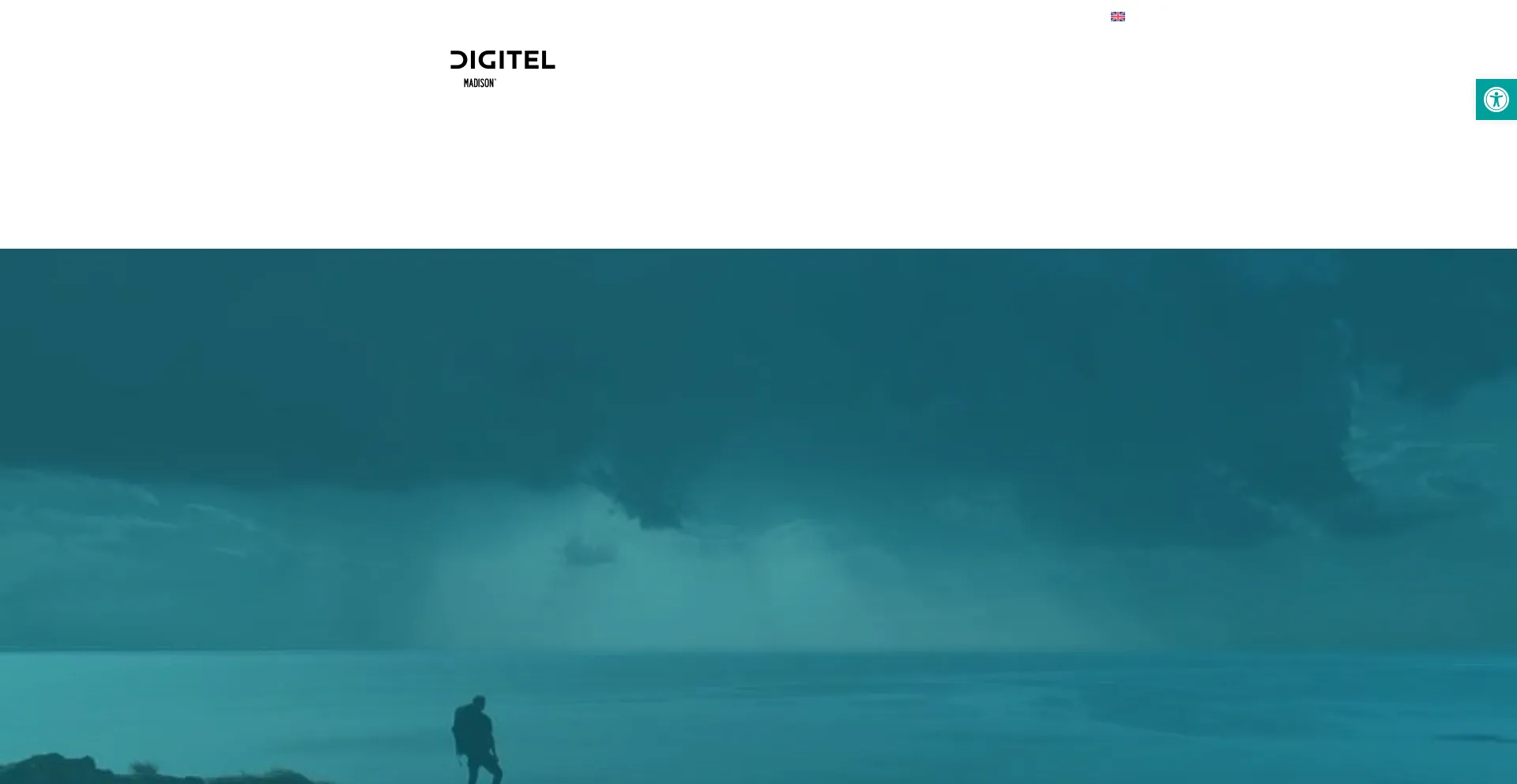 Digitelts.com 安全可靠吗？
