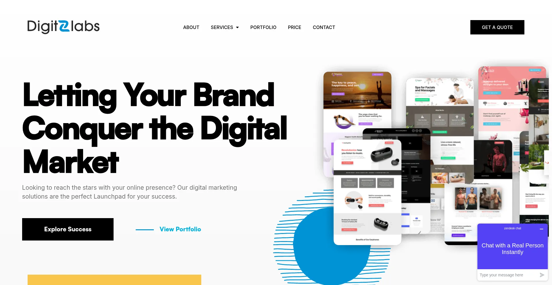 Website screenshot of Digitzlabs.com