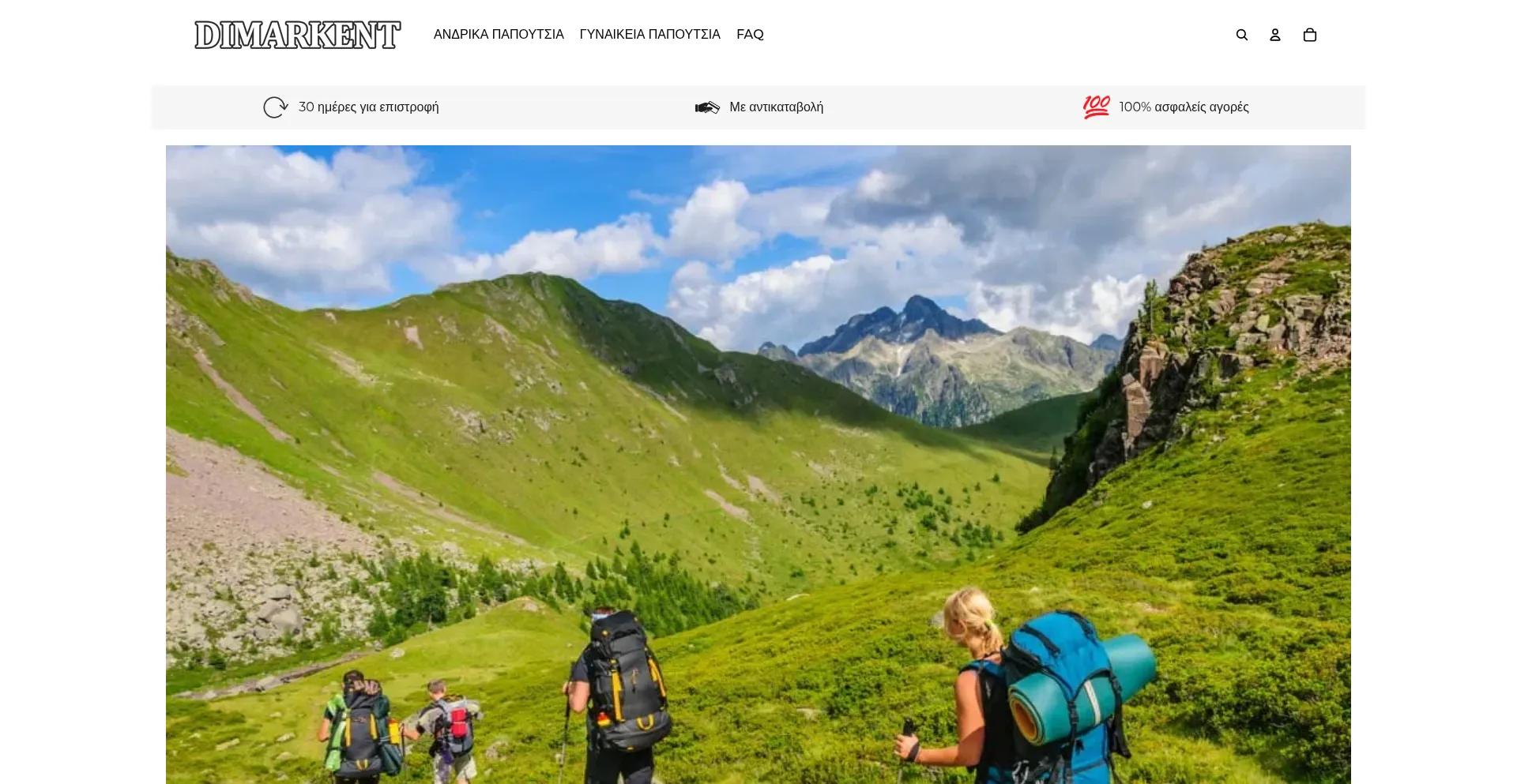 Website screenshot of Dimarkent.com