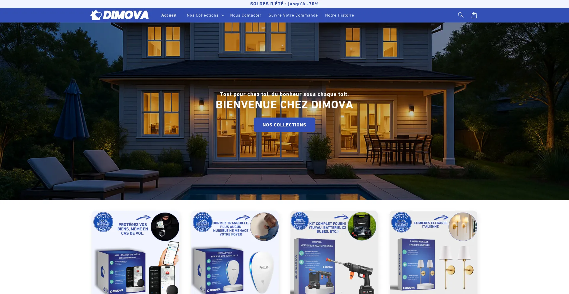 Website screenshot of Dimovafr.com