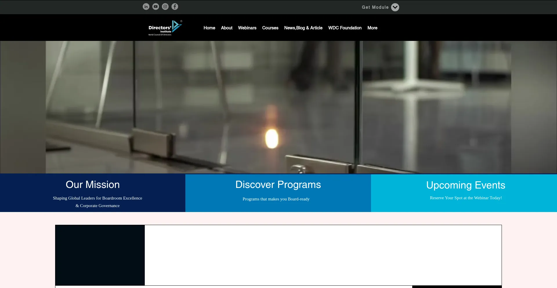 Directors-institute.com 安全可靠吗？