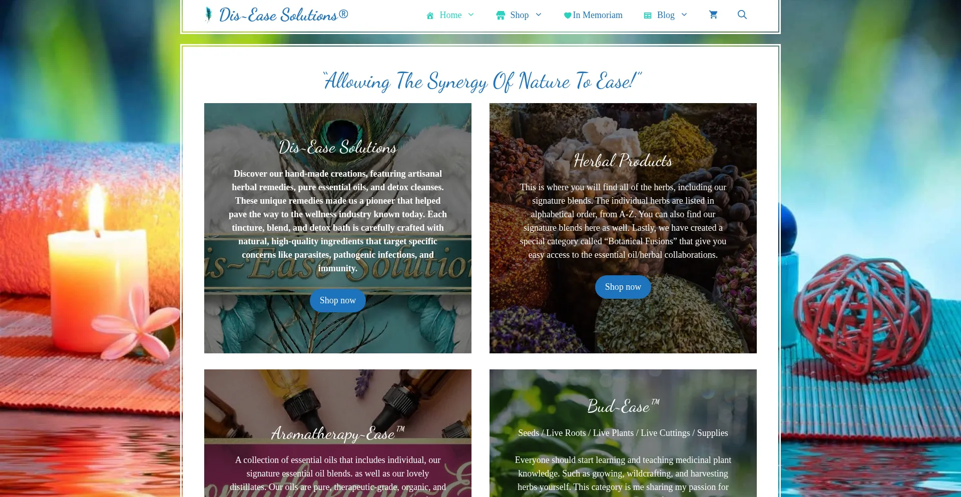 Diseasesolutions.net