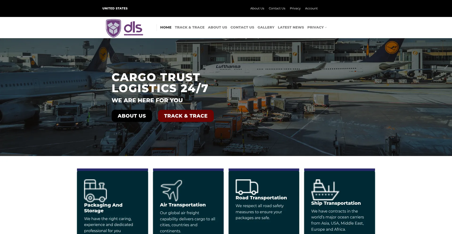 Distrologisticservicess.com Screenshot