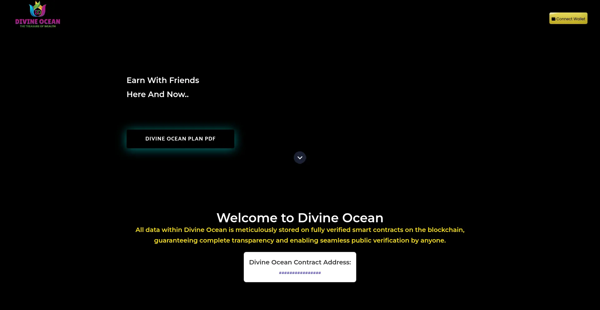 Website screenshot of Divineocean.io