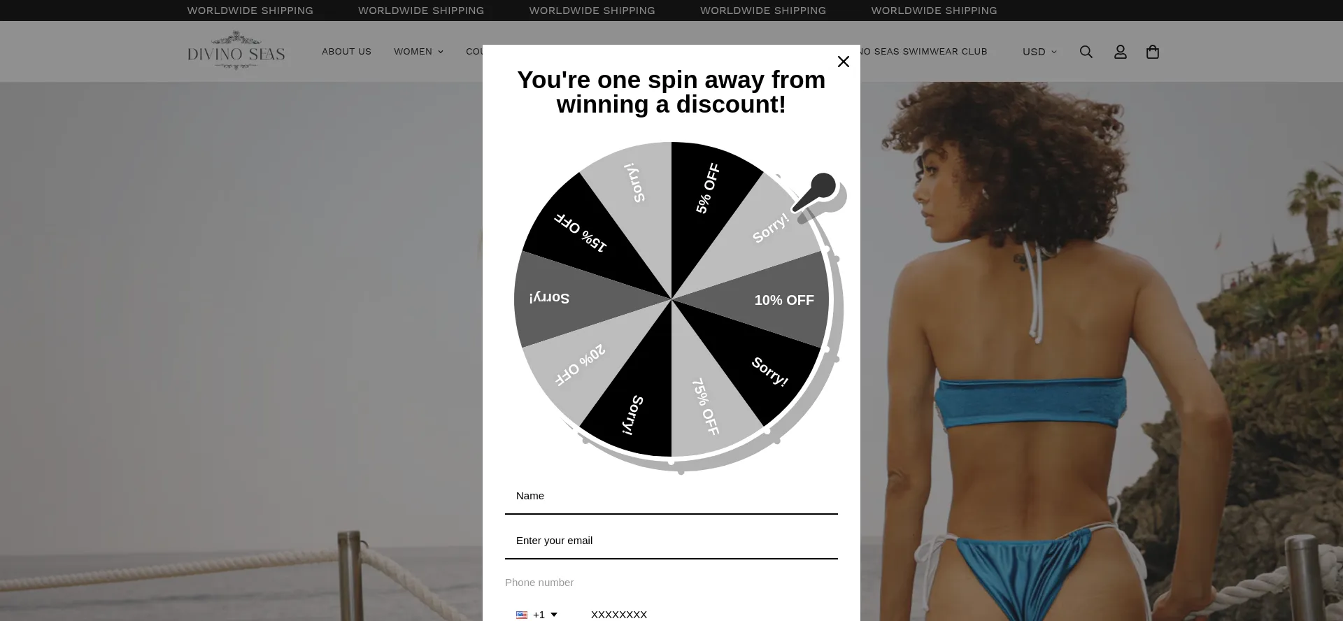 Website screenshot of Divinoseas.com