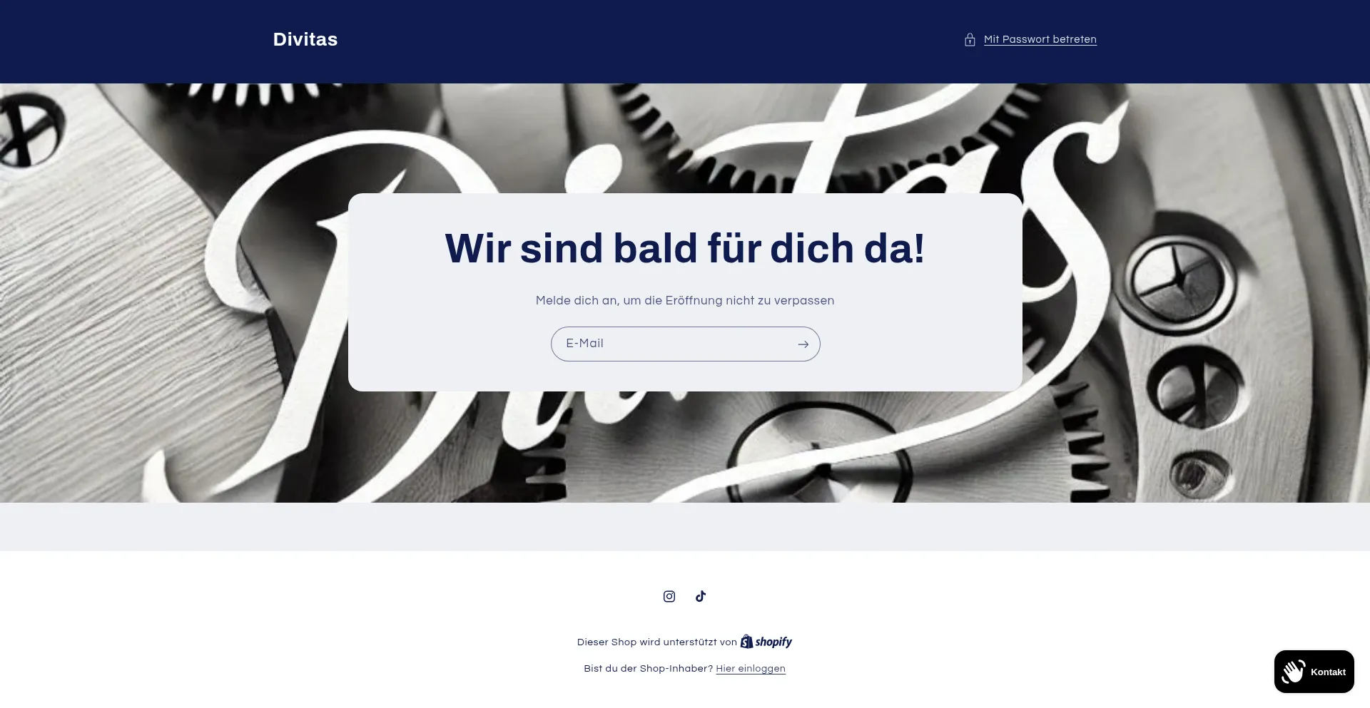 Website screenshot of Divitas.ch