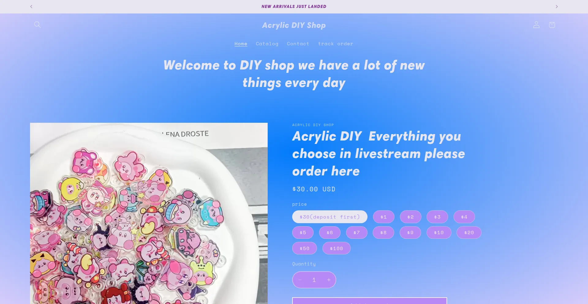 Website screenshot of Diyacrylic.store