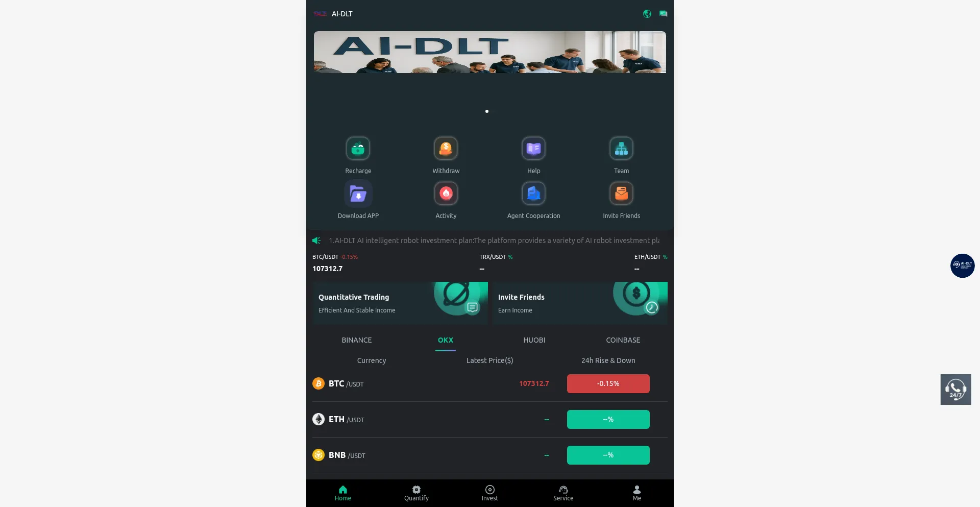 Website screenshot of Dltan.com