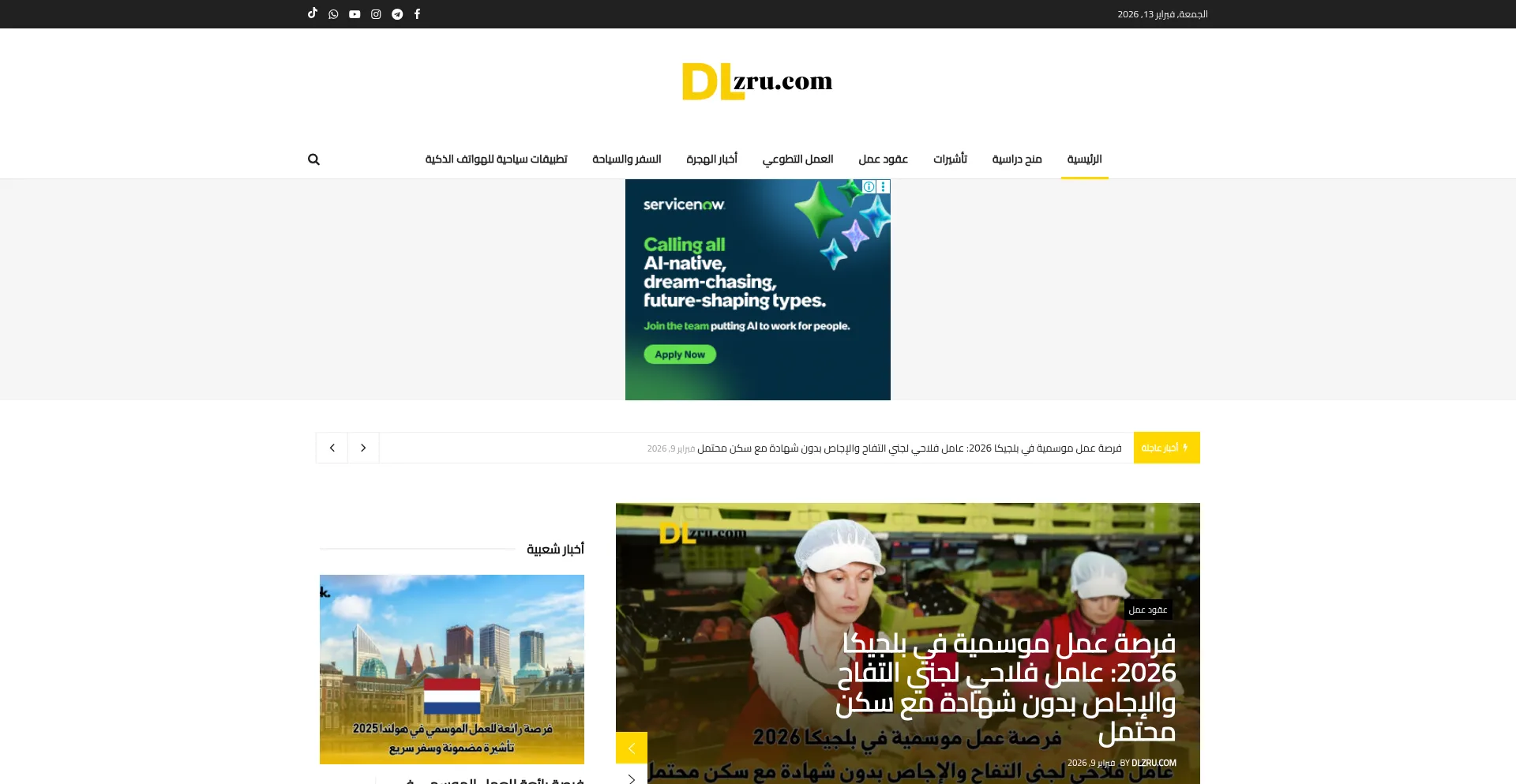 Dlzru.com