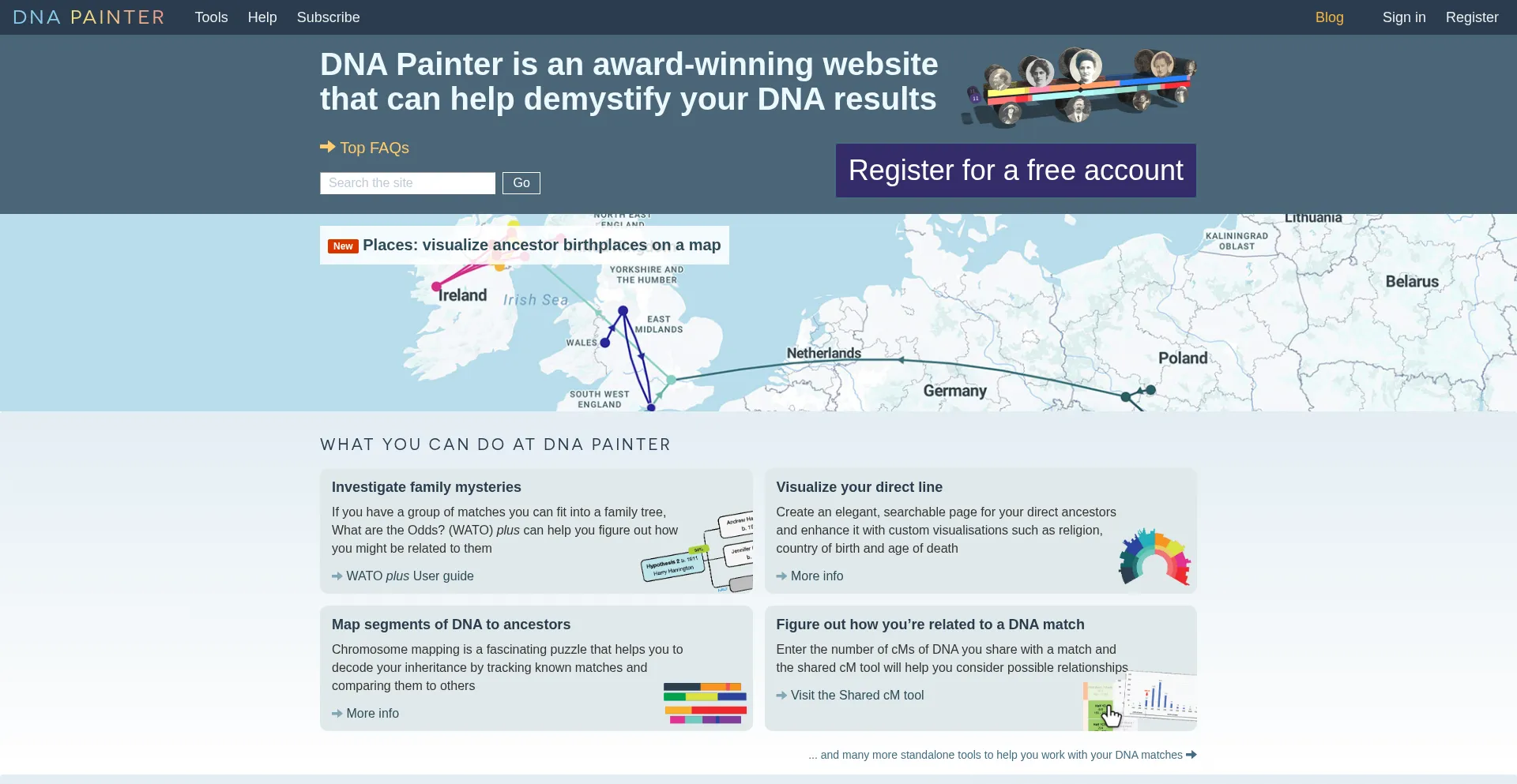 Website screenshot of Dnapainter.com